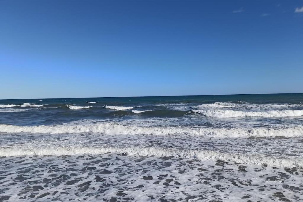 Appartement Piso En Playa De Gandia! Extérieur photo